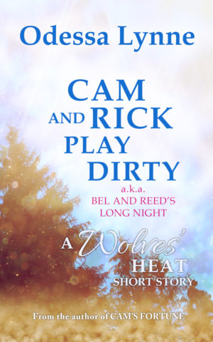 Book cover for Cam and Rick Play Dirty (a.k.a. Bel and Reed’s Long Night)