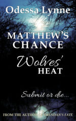Matthew's Chance (Wolves' Heat, Book 4)